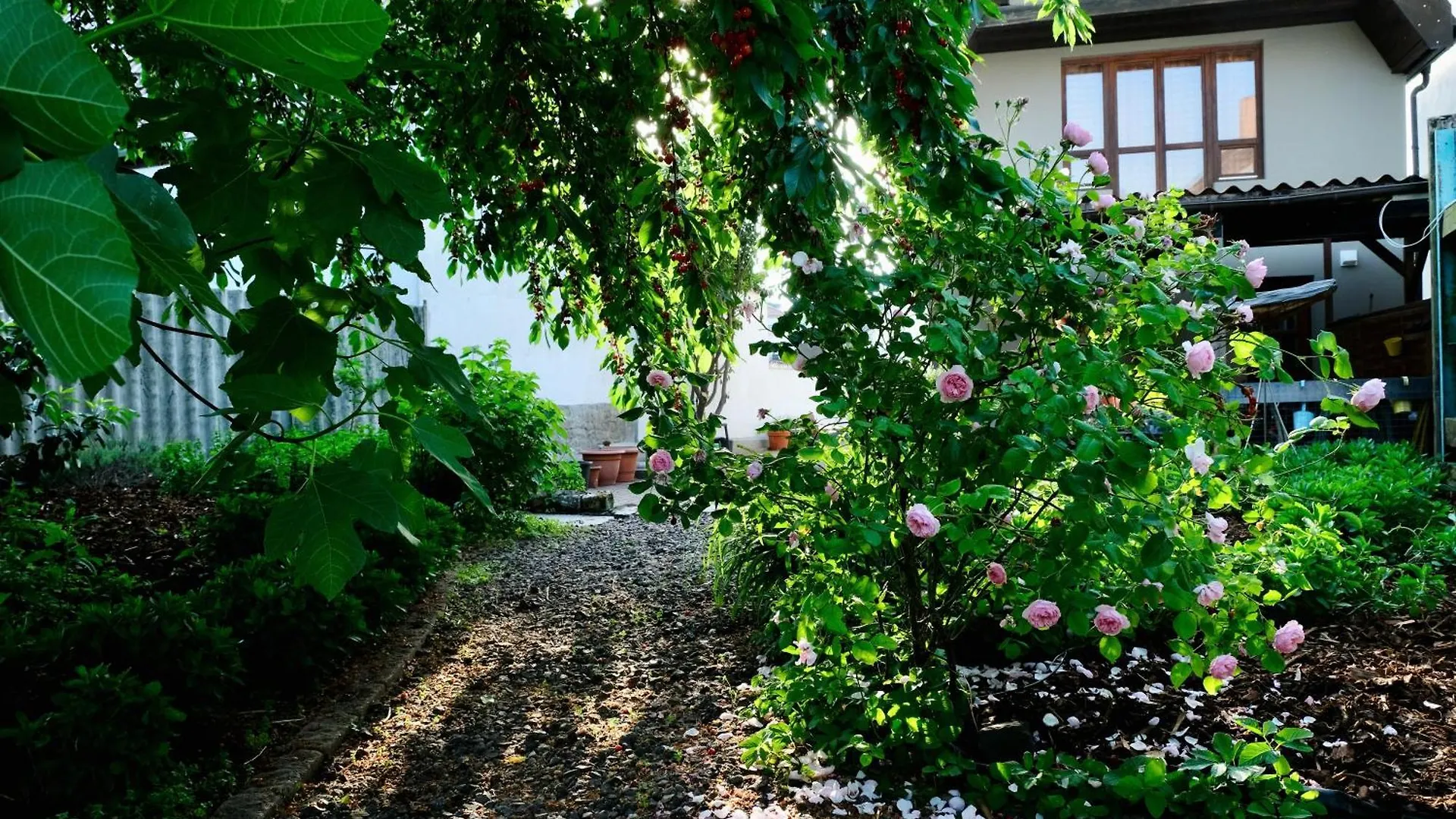 Apartament Ferienwohnung In Charmantem Fachwerkhaus Altrip Niemcy
